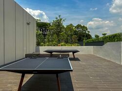 Normanton Park (D5), Apartment #577436341